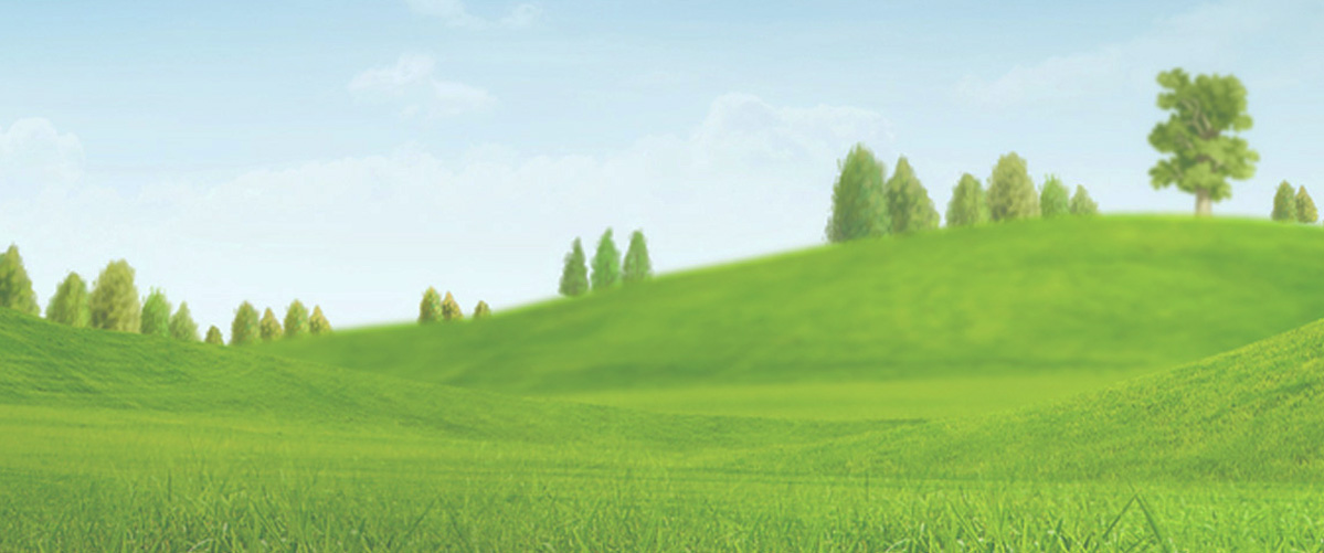 Slide background
