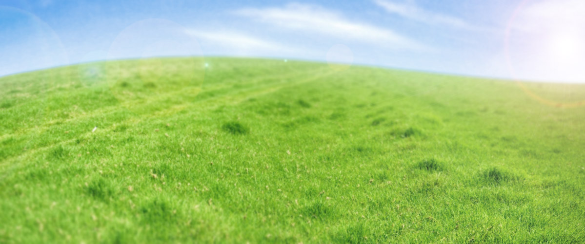 Slide background